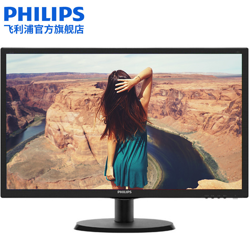 飞利浦（PHILIPS）193V5LSB25 18.5英寸液晶显示器 TN面板 商务办公电脑显示屏 可壁挂
