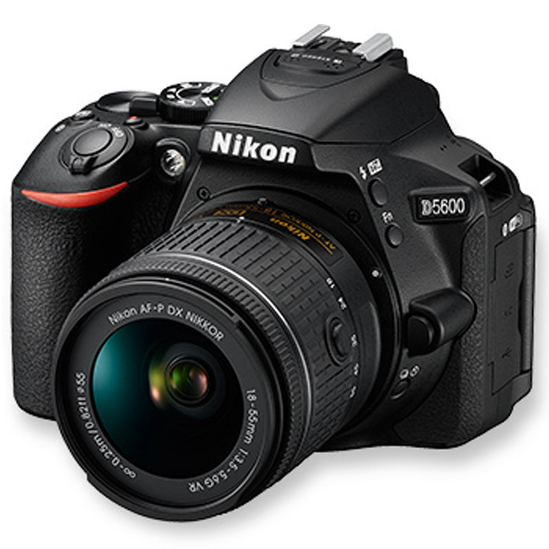 尼康(Nikon) 闪迪32G高速卡 包 保护镜 三脚架 清洁套装 金刚膜 D5600+18-55（套）