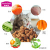 麦富迪 三文鱼油天然成猫粮1.5kg