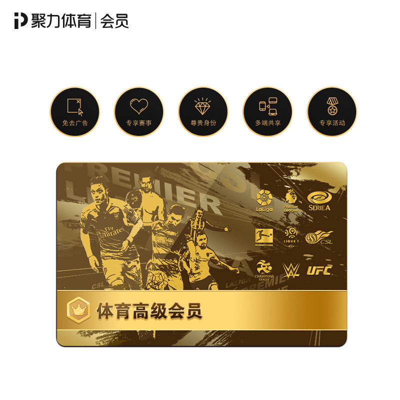 PP视频 足球影视融合包 季包（通讯）