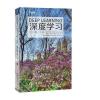 深度学习 人工智能算法，机器学习奠基之作，AI圣经