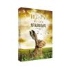 黑鹤自然之歌系列 野兔的危机