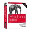 Hadoop权威指南：大数据的存储与分析(第4版)