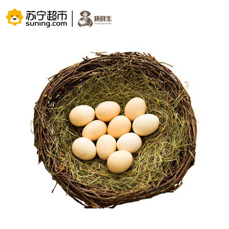 雉鲜生(Free Range Chicken) 广西散养鸡蛋 初产蛋 头窝蛋40枚 每日鲜蛋 破蛋包赔