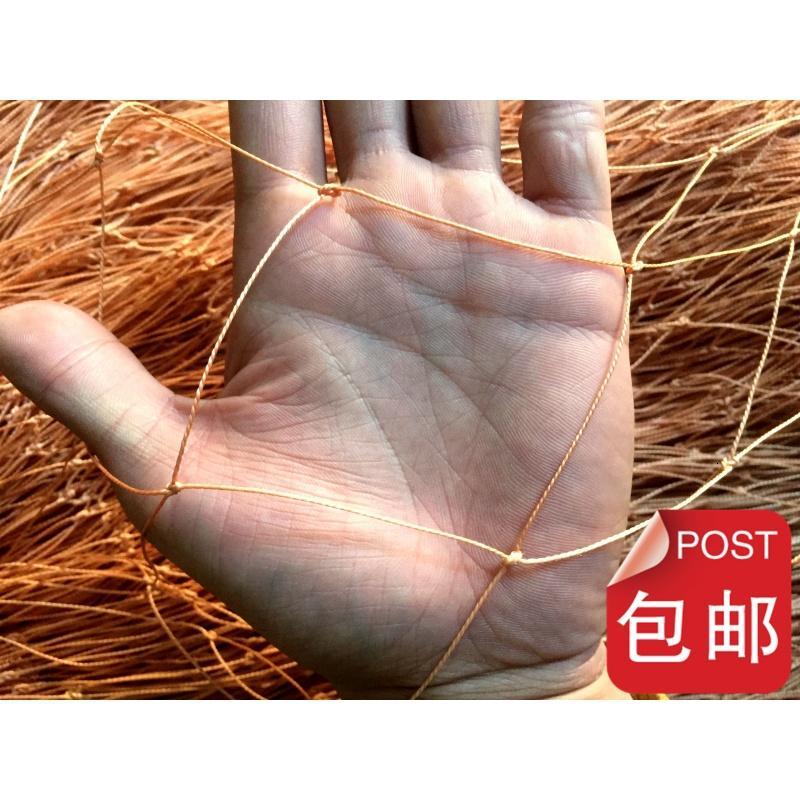 洋子（YangZi）保护野鸡网野兔网拦鹰网轮胎线网养殖网（Y5.5）_1 轮胎线5x10米