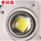 洋子（YangZi）LED工矿灯室内篮球场羽毛球馆乒乓球照明灯游泳馆体育馆专用吊灯_1 100W自然光(进口LED芯片)