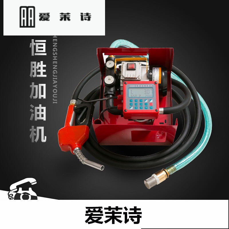 洋子（YangZi）新升级电子定量计价加油泵总成电动抽油泵12V24V220V加油机_1 12V标配
