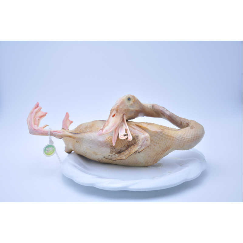 光迅guangxun 湘一灰汤鸭 鲜鸭(请与本店其他物品分开下单)