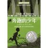 长青藤国际大奖小说·第七辑：奔跑的少年