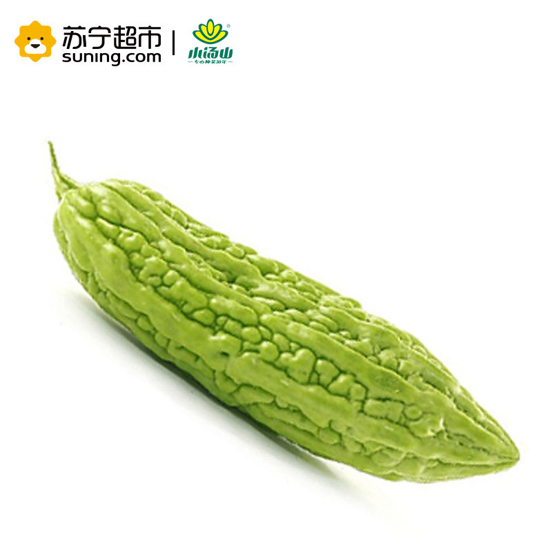 小汤山 苦瓜 约500g 新鲜蔬菜