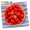 展卉 海南陵水千禧圣女果 小西红柿 番茄 约500g 新鲜水果