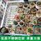 不生锈悬挂阳台栏杆不锈钢花架多肉户外阳台护栏花架挂式花盆架子_3_9 长120宽30高12（挂钩4个）