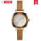 全国联保TIMEX/天美时石英手表女时装手表女表TW2P70000 巧克力色