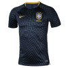 耐克(NIKE)2018世界杯巴西运动T恤球员足球训练短袖 893354-454