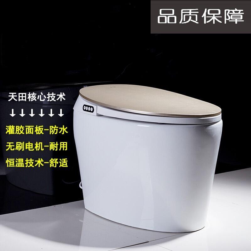 日本智能马桶一体式无水箱电动冲洗烘干家用全自动坐便器_2 305mm 金色