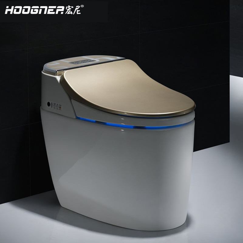 HOOGNEA 宏尼 智能马桶全自动即热式冲洗智能马桶盖板一体式无水箱智能坐便器 马桶 包安装 套 300mm