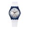 斯沃琪（Swatch）手表 经典色彩密码系列 简洁日晖纹男女表银白光芒GN720 GN720