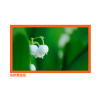 经科JK画框投影幕布小边框H3-AT/W2编织透声白幕106寸2.35:1