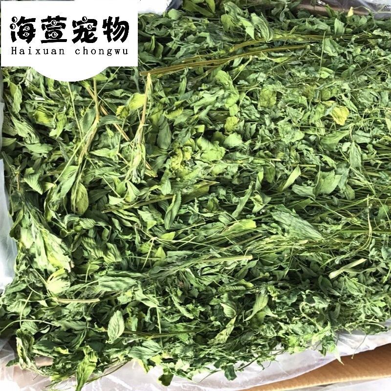 Icepad系列 选紫花苜蓿草兔子龙猫豚鼠牧草干草高蛋白新草兔粮磨牙1kgm2图片 高清实拍图 苏宁易购