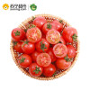 展卉 山东圣女果 小西红柿 番茄 约500g 新鲜水果