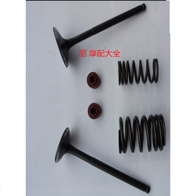 摩托 新款海王星 天龙星UA125T 进排气 气阀 全车正品 进排气_+气_油封