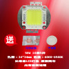 成越全新美视佳MEDIAGA L720 50W LED投影机灯泡投影仪灯泡