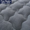 皮尔卡丹(Pierre Cardin)家纺 纯色简约风羊羔绒羽丝绒床垫1.8米床学生宿舍床褥垫被四季单双人床垫 白色 1.0*2.0m