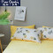 皮尔卡丹(Pierre Cardin)家纺 加厚雪花绒床上四件套珊瑚绒双面绒法兰绒莱绒冬季牛奶绒水晶绒被套床单 适用1.5/1.8m床-被套2.0*2.3m 慕斯