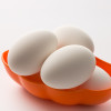 鹅蛋 老鹅蛋 处子草鹅蛋 草鹅蛋 新鲜土鹅蛋 大白鹅蛋 18枚装（毎枚130-150g）
