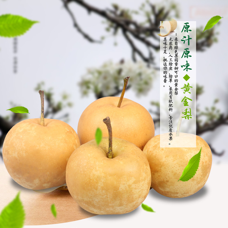 17.8°黄金梨5斤
