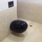 小空间黑色墙排壁挂式马桶坐便器入墙式隐形水箱方形节水小户型黑色2301+原装水箱185mm_1 默认尺寸 黑色2301+原装水箱