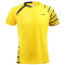 李宁（LI-NING）圆领羽毛球服吸汗速干男款运动短袖T恤 黄色款 AAYL117 XL 黄色