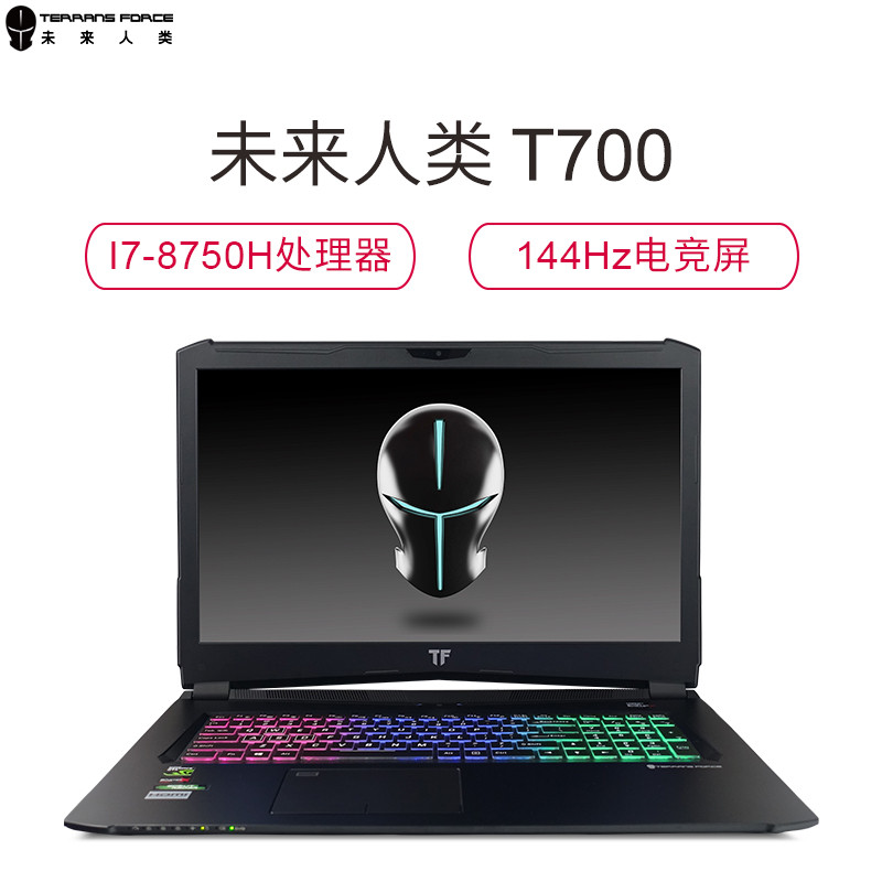 未来人类T700-1070-87SH3 17.3英寸游戏本 i7-8750H 16G 512G固态+1T GTX1070