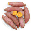 黄河滩板栗红薯 2.5kg 板栗红薯 板栗薯 粉嫩香甜 新鲜蔬菜