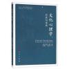 文化心理学：历史与未来(文化心理学精品译丛)
