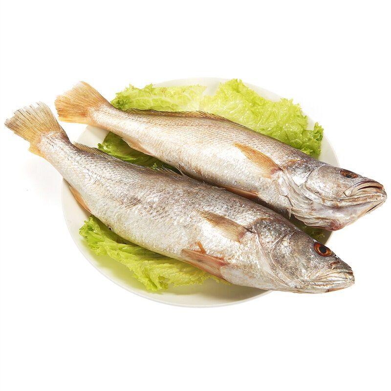 禧美海产 马达加斯加虎牙黄鱼500g 袋装 海鲜水产