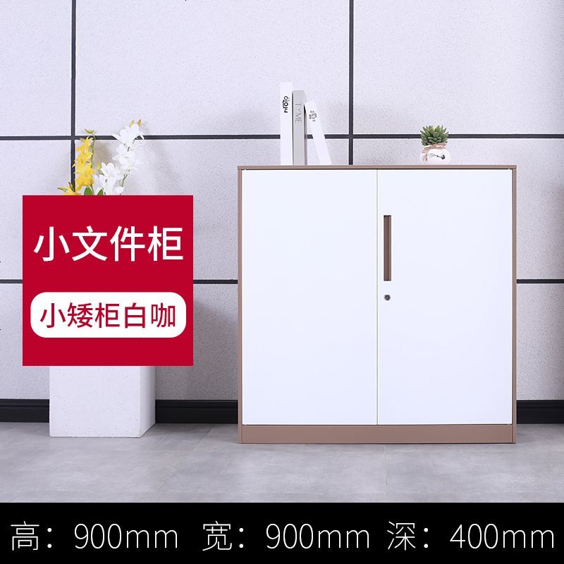 铁皮柜档案柜资料柜书柜凭证柜储物柜矮柜带锁隔断柜办公室文件柜_457_540 咖白小文件_0.8mm
