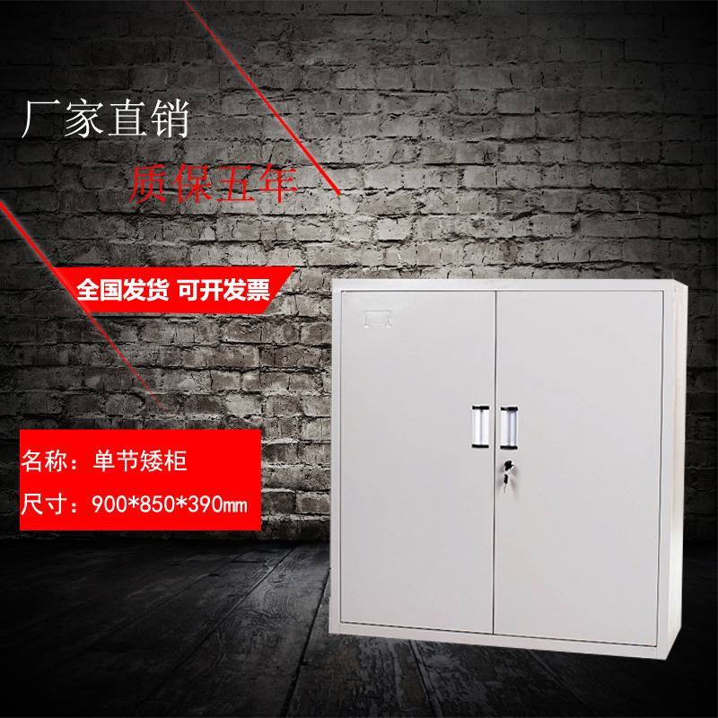 南京加厚文件柜铁皮柜钢制凭证柜资料柜员工更衣柜玻璃书柜档案柜_733_751 单节矮柜_0.6mm