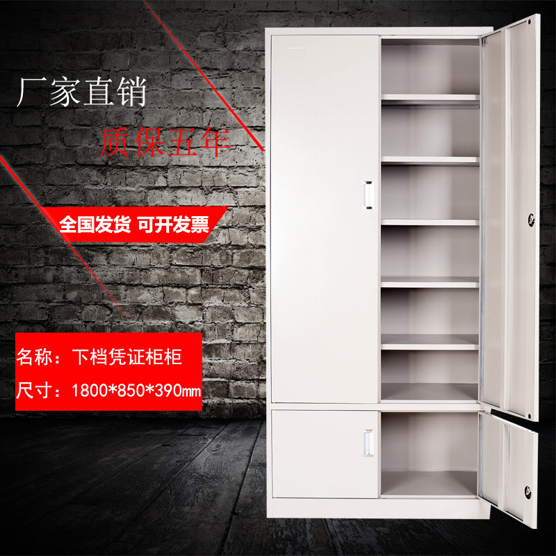 南京加厚文件柜铁皮柜钢制凭证柜资料柜员工更衣柜玻璃书柜档案柜_733_751 下档凭证柜_0.8mm