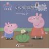 小小的生物