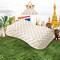 皇家梵卡（ROYAL VANKA）泰国进口天然乳胶枕头 颗粒按摩护颈枕蝴蝶型助睡眠橡胶记忆枕芯 57*37*10cm 蝶形颗粒按摩枕（57*37*10cm）