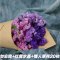 云南大束满天星干花真花礼品装送女朋友老婆礼物勿忘我 20枝+花瓶