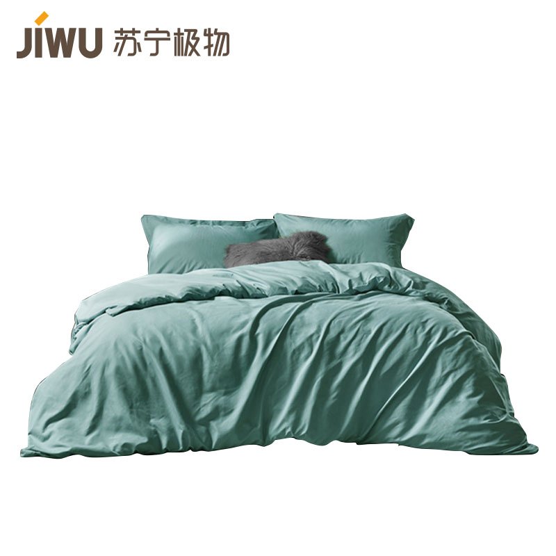 苏宁极物 暖绒磨毛四件套舒适透气床单被套床上用品 浅绿色C 220*240cm