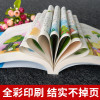 一千零一夜 小树苗儿童成长经典阅读宝库彩图注音版 睡前故事书0-3-6-8-10-12周岁带拼音小学一二三年级课外阅