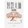 智慧大脑：高水平思考的大脑认知训练