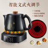 苏泊尔（SUPOR）养生壶煎药壶SW-30Y06