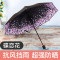 小黑伞太阳伞女防晒遮阳伞防紫外线黑胶女神折叠晴雨伞两-用 碟恋花