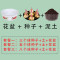 【叶卉美百合种球+盆+土】香水百合一代种球包发芽开花 【5个球+1碗莲盆+1包土】