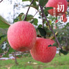 精品装4A级菩提果 陕西洛川红富士苹果水果 36枚85 精品
