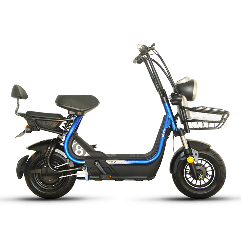 比德文电瓶车锂电池电动车电动自行车魔王pro 可取充电tdt1819z 马赫